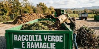 Roverbella, la raccolta straordinaria di tronchi e ramaglie termina domenica 13 settembre