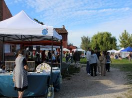 Festival Olistico “Acqua Mater” il 27 settembre a Rivalta sul Mincio