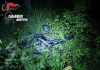 Castel d’Ario, finisce con la moto in un fossato: muore 36enne