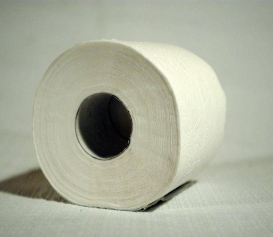 Niente più carta igienica, arriva il ‘wc intelligente’: cos’è e come funziona