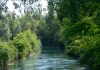Portiolo, escursione gratuita alla scoperta della biodiversità nella golena del Po