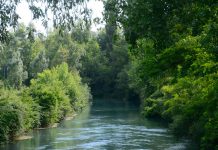 Portiolo, escursione gratuita alla scoperta della biodiversità nella golena del Po