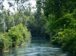 Portiolo, escursione gratuita alla scoperta della biodiversità nella golena del Po
