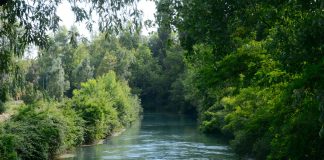 Portiolo, escursione gratuita alla scoperta della biodiversità nella golena del Po