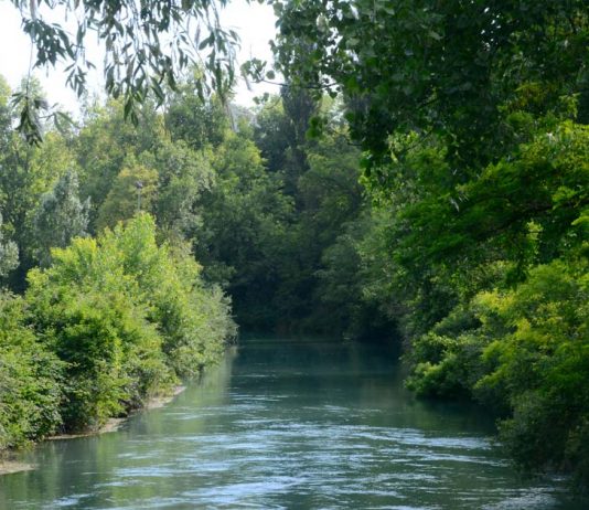 Portiolo, escursione gratuita alla scoperta della biodiversità nella golena del Po