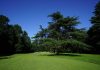 Golf, al via il Buccellati Ladies Italian Open: sul green di Monza le più grandi atlete europee