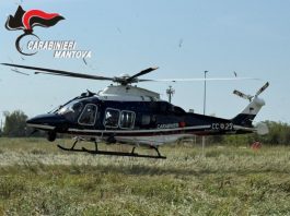 L’occhio dei Carabinieri arriva dal cielo: controlli coordinati dall’elicottero sul Basso Mantovano