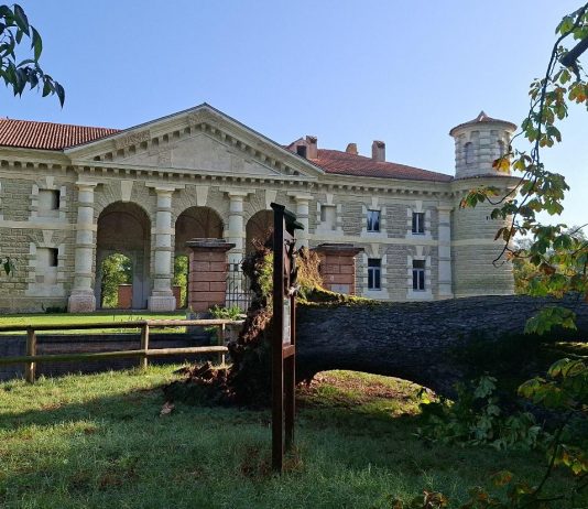 Bosco Fontana chiude: centinaia gli alberi abbattuti dalla tromba d’aria, compreso ippocastano monumentale