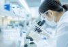 Resistenza a farmaci in cancro rene e fegato, studio apre nuove vie