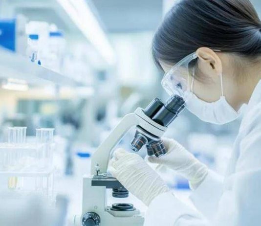 Resistenza a farmaci in cancro rene e fegato, studio apre nuove vie