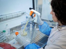 Un nuovo consorzio europeo per sperimentare un’immunoterapia innovativa contro un aggressivo tumore cerebrale pediatrico
