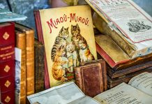 Mantova Libri Mappe Stampe, torna il photo contest: in palio serigrafia di Enzo Mari