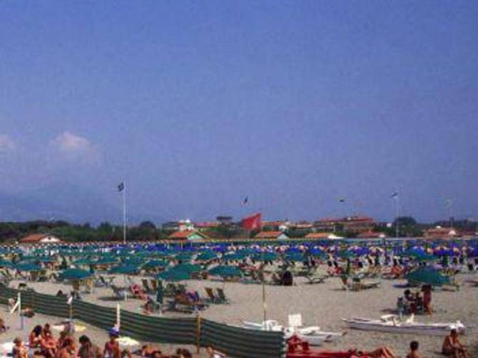 mare