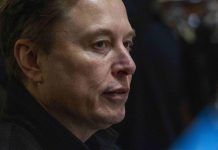 AfD trionfa alle elezioni in Sassonia-Anhalt e Elon Musk esulta
