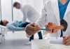 Tumore pancreas, team Aoui Verona e San Raffaele Milano vincono bando Fondazione Veronesi-Ficog