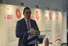 Inselvini (FdI) a Just Euman: “Difendiamo vita contro chi vuole aborto finanziato”