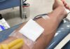 Emergenza sangue in Italia, ecco perché manca soprattutto gruppo 0 positivo