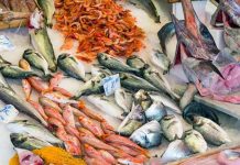 “Meno carne più pesce azzurro”, 10 consigli del pediatra per una dieta sana anti caro spesa