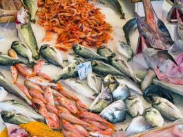 “Meno carne più pesce azzurro”, 10 consigli del pediatra per una dieta sana anti caro spesa
