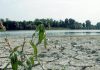 Agosto mese più caldo mai registrato, estate più rovente di sempre per l’Europa occidentale