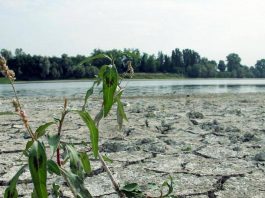 Agosto mese più caldo mai registrato, estate più rovente di sempre per l’Europa occidentale