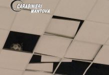 Vandali danneggiano il Palasport di Quistello: cinque minorenni denunciati dai Carabinieri