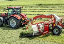 Millenaria 2026, domani debutta il “Ranghina Day”: prove al campo di via Costa