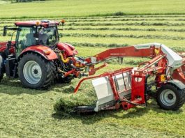 Millenaria 2026, domani debutta il “Ranghina Day”: prove al campo di via Costa