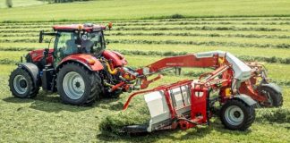 Millenaria 2026, domani debutta il “Ranghina Day”: prove al campo di via Costa