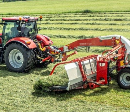 Millenaria 2026, domani debutta il “Ranghina Day”: prove al campo di via Costa