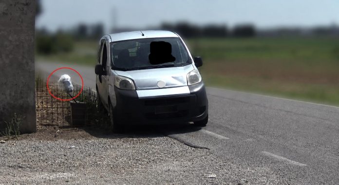 rifiuti gettati da auto Casatico 1