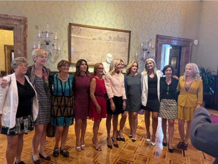 senato_proteste_donne_dem_gonna_tajani_insta