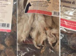 Orecchie di coniglio o polmone di cavallo? Lo snack ‘choc’ per i cani nel cuore di Cortina
