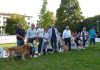 Suzzara, una domenica dedicata ai cani: torna “Suzzara a 6 zampe”