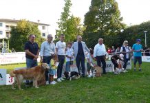 Suzzara, una domenica dedicata ai cani: torna “Suzzara a 6 zampe”