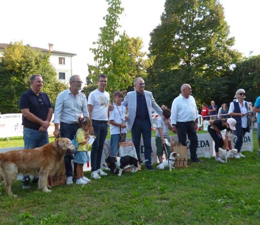 Suzzara, una domenica dedicata ai cani: torna “Suzzara a 6 zampe”