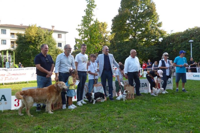 suzzara a 6 zampe edizione 2025