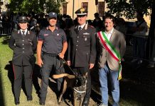 Carabinieri cinofili a Viadana per la manifestazione 4 zampe per il sociale