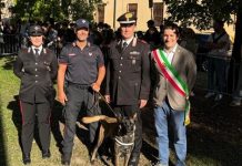 Carabinieri cinofili a Viadana per la manifestazione 4 zampe per il sociale