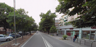 Mantova, lavori in viale Risorgimento: modifiche alla viabilità per una settimana
