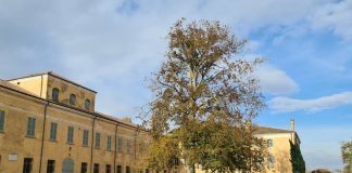 Palidano, Concerto per Alberi porta mito e musica nel parco di Villa Alessia