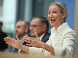 Ucraina, linea dura Afd: “Via gli ucraini dalla Germania, stop ai soldi per Kiev”