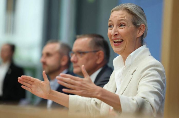 weidel_afp