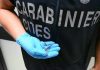 Palermo, fermento all’aeroporto: trovato piccolo serpente sul volo da Lampedusa