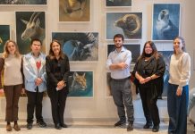 Mantova, al Politecnico gli animali di Samuele Drago: una mostra sul rapporto uomo-natura