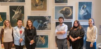 Mantova, al Politecnico gli animali di Samuele Drago: una mostra sul rapporto uomo-natura