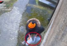Droga comprata con il reddito di cittadinanza, 24 indagati tra Catanzaro e Vicenza