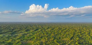 Dal deserto cinese di Mu Us al mondo, la storia della “guerriera della sabbia”