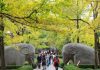 Cina, cresce il mercato interno del turismo
