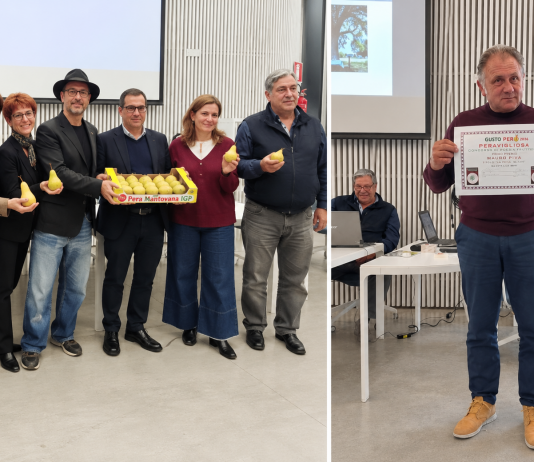 Pera mantovana tra poesia, tradizione e gastronomia: Mauro Piva trionfa al concorso “Peravigliosa”